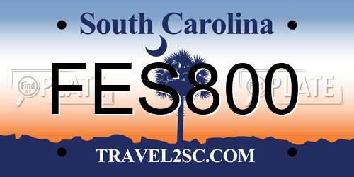 FES800 South Carolina License Plate