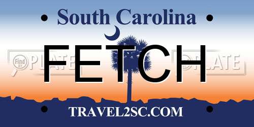 FETCH South Carolina License Plate