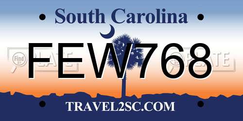 FEW768 South Carolina License Plate