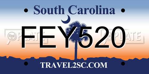 FEY520 South Carolina License Plate