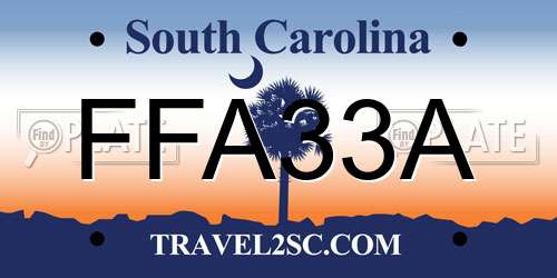 FFA33A South Carolina License Plate
