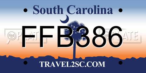 FFB386 South Carolina License Plate
