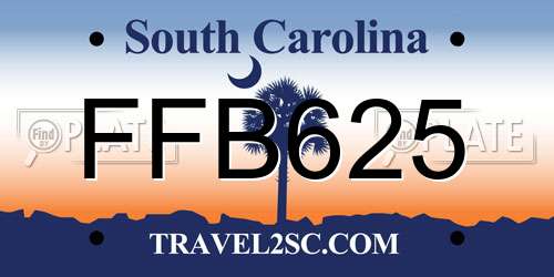 FFB625 South Carolina License Plate
