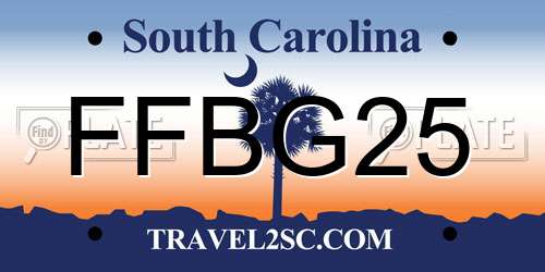 FFBG25 South Carolina License Plate