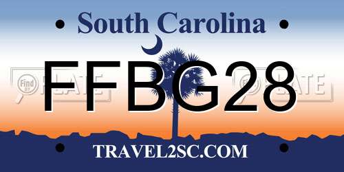 FFBG28 South Carolina License Plate