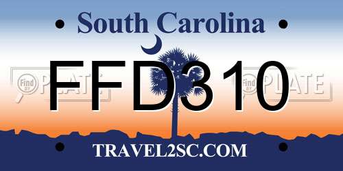 FFD310 South Carolina License Plate