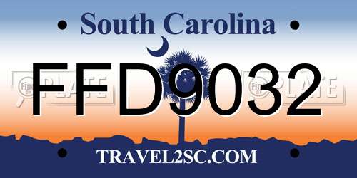 FFD9032 South Carolina License Plate