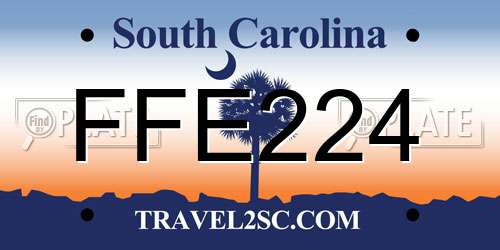 FFE224 South Carolina License Plate
