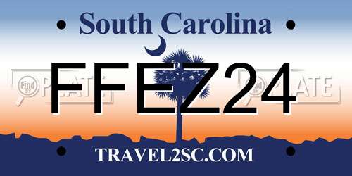 FFEZ24 South Carolina License Plate