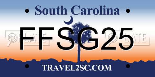 FFSG25 South Carolina License Plate