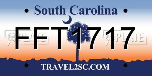 FFT1717 South Carolina License Plate
