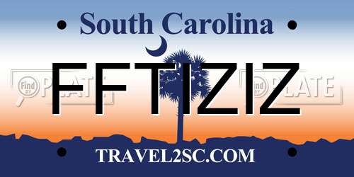 FFTIZIZ South Carolina License Plate