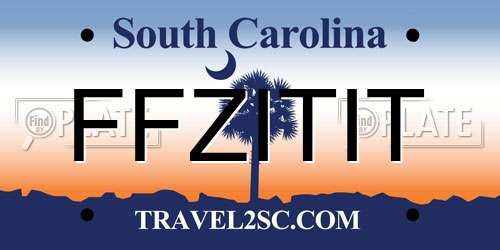 FFZITIT South Carolina License Plate