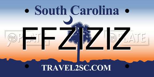 FFZIZIZ South Carolina License Plate