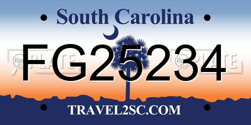 FG25234 South Carolina License Plate