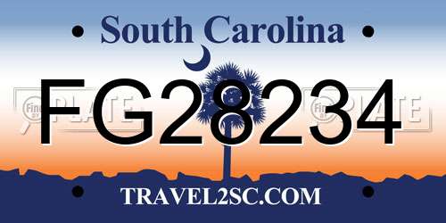 FG28234 South Carolina License Plate