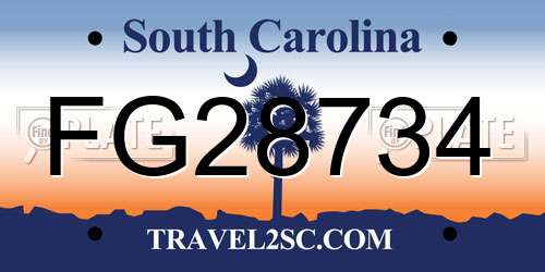 FG28734 South Carolina License Plate