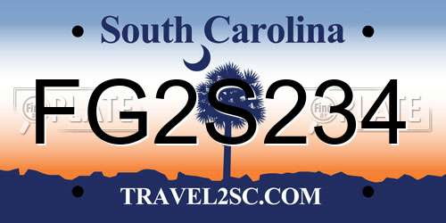 FG2S234 South Carolina License Plate