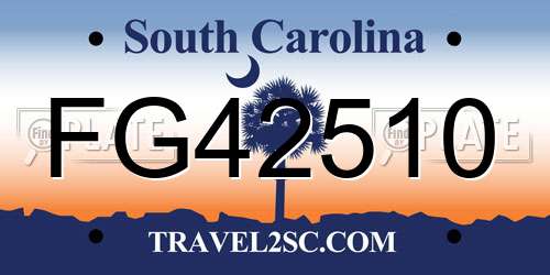 FG42510 South Carolina License Plate