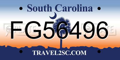 FG56496 South Carolina License Plate