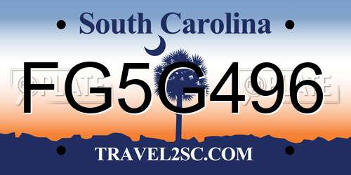 FG5G496 South Carolina License Plate