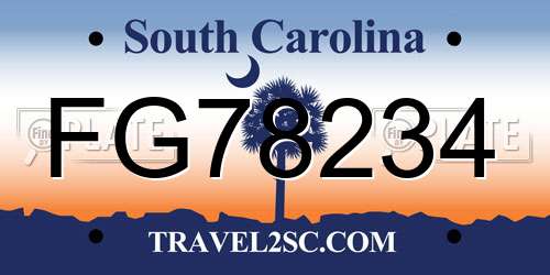 FG78234 South Carolina License Plate