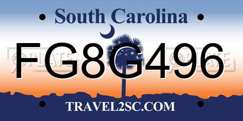 FG8G496 South Carolina License Plate
