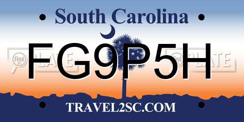 FG9P5H South Carolina License Plate