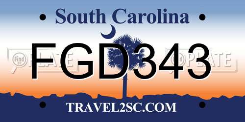 FGD343 South Carolina License Plate