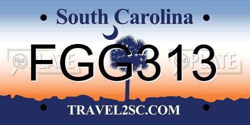 FGG313 South Carolina License Plate