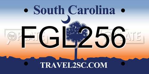 FGL256 South Carolina License Plate