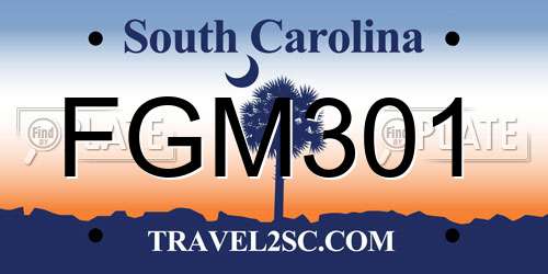 FGM301 South Carolina License Plate