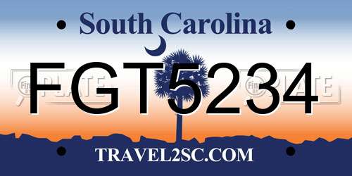 FGT5234 South Carolina License Plate