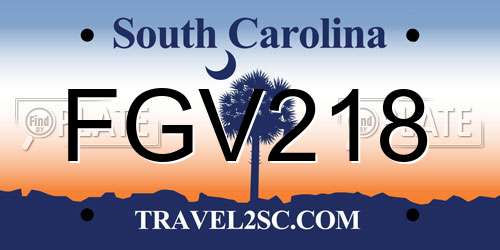 FGV218 South Carolina License Plate