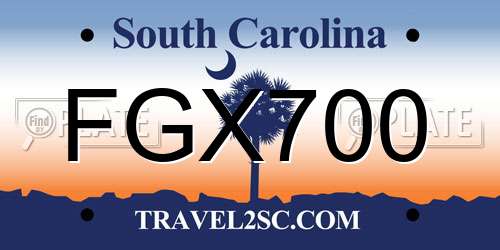 FGX700 South Carolina License Plate