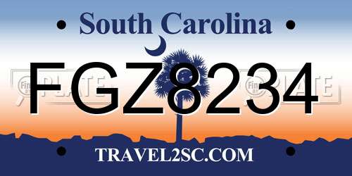 FGZ8234 South Carolina License Plate