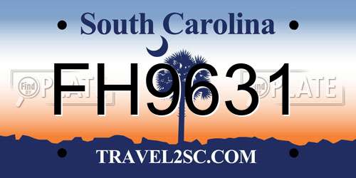 FH9631 South Carolina License Plate