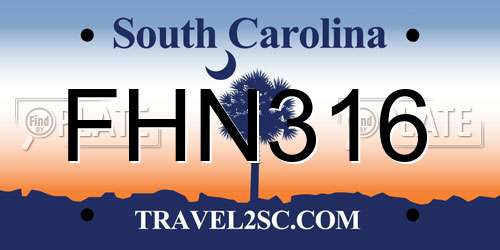 FHN316 South Carolina License Plate