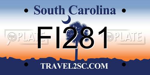 FI281 South Carolina License Plate