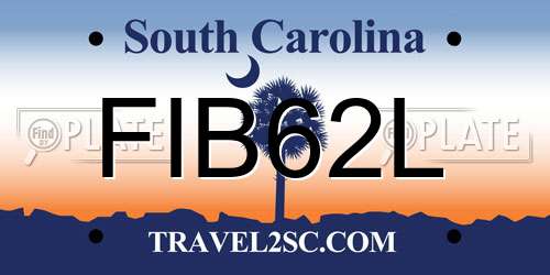FIB62L South Carolina License Plate