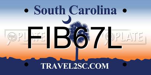 FIB67L South Carolina License Plate