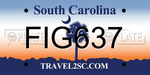 FIG637 South Carolina License Plate