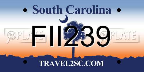 FII239 South Carolina License Plate