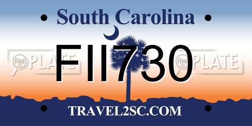 FII730 South Carolina License Plate
