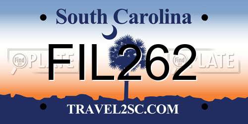 FIL262 South Carolina License Plate