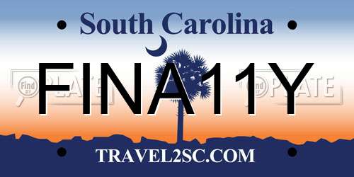 FINA11Y South Carolina License Plate