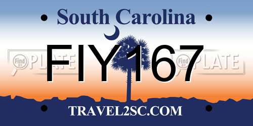 FIY167 South Carolina License Plate