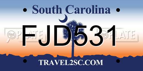 FJD531 South Carolina License Plate