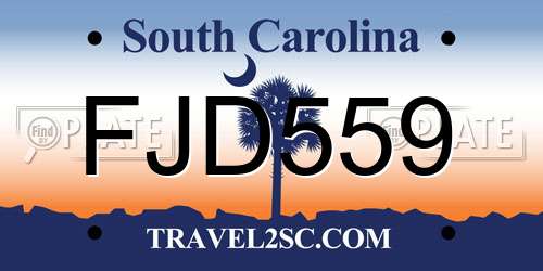 FJD559 South Carolina License Plate