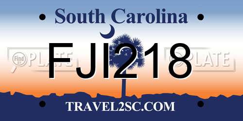 FJI218 South Carolina License Plate